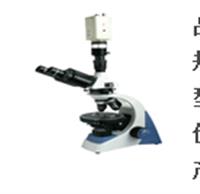 電腦偏光顯微鏡 三目偏光顯微鏡 偏光顯微鏡